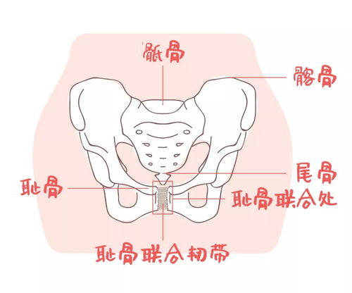 右侧耻骨联合上方腹部按压痛，怎么回事？