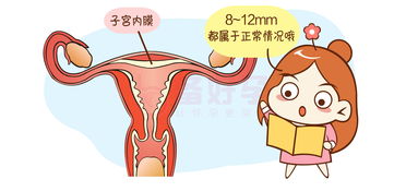 绝经后内膜厚度0.8正常吗女性