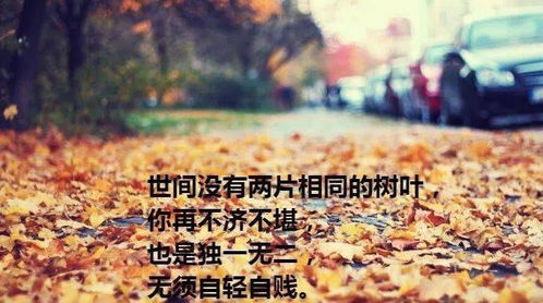 又是一年清明节说说