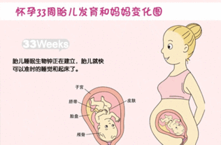 怀孕后宝宝正常发育会有什么反应吗