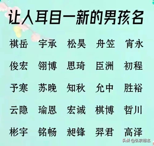 适合男孩名字的稀有字