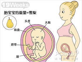 怀孕第8周要注意什么问题