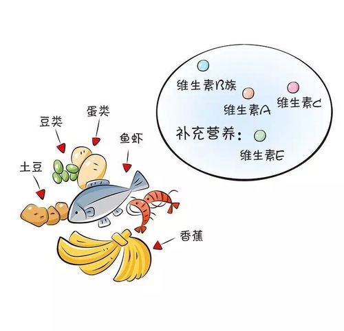 厌食与呕吐的营养补充方法