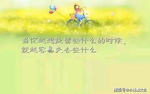 亲情可贵经典的句子[摘抄42句