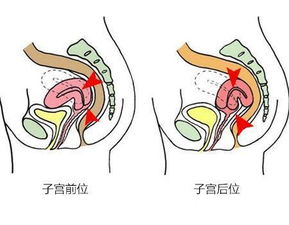 怎么样容易怀孕