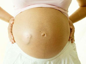 孕期怎么数胎动算一次