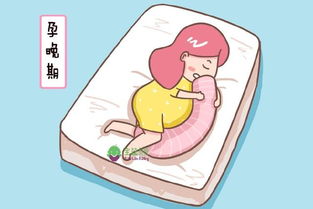 孕妇最适合的睡觉姿势