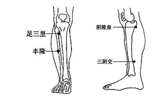 孕妇可以刮痧哪个部位