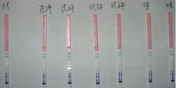 如何准确使用排卵试纸