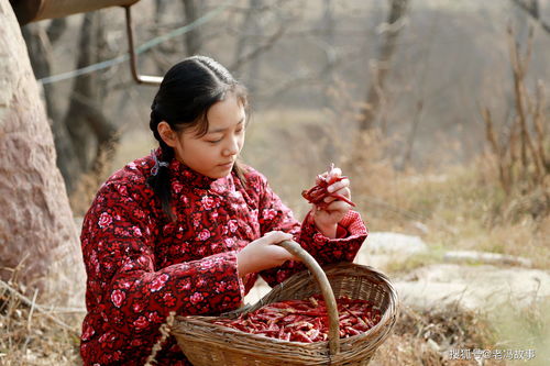 找十几年前的电视剧,是一部知青返乡后他们在下乡时生的儿女来找他们的故事.