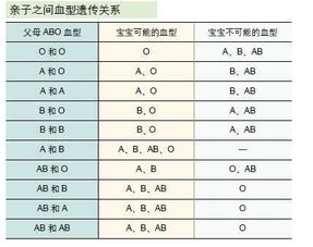 孩子会遗传父母的血型吗