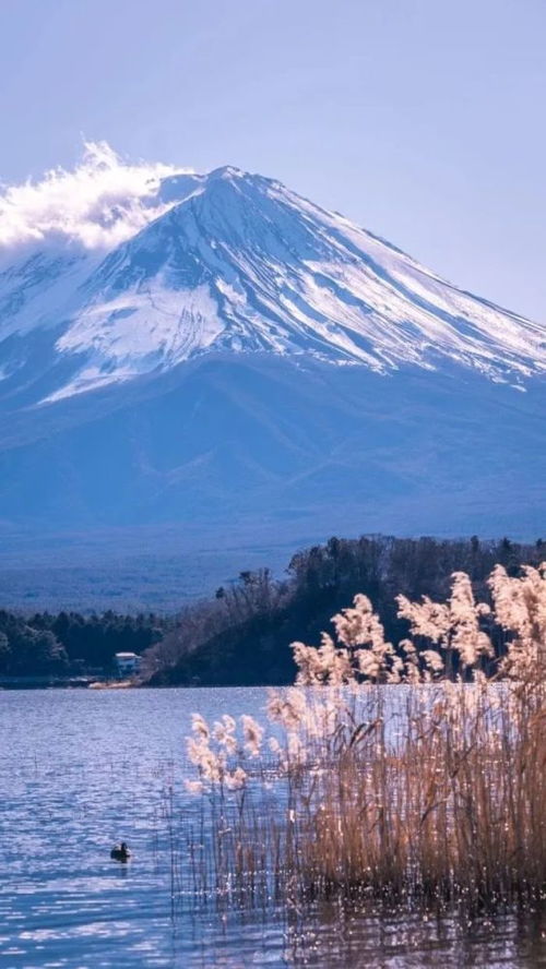 富士山 文案