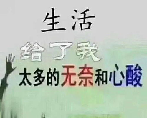 进入2020年的说说