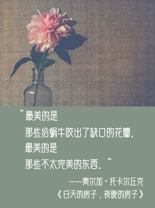 赞美花朵绽放的短句