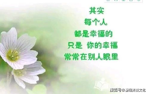 适合发朋友圈的句子生活感悟