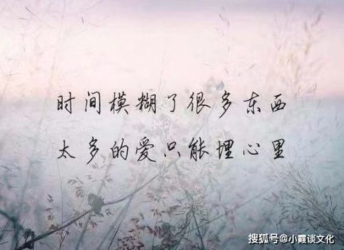 清明节最让人心碎的句子[共111段了