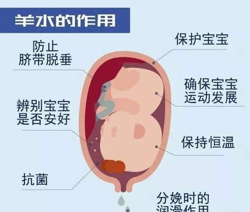 羊水对胎儿的重要性有哪些