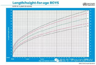 0~1岁婴幼儿的身体形态