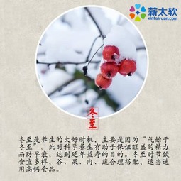 冬至暖心祝福语视频[共116句怎么写