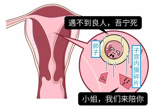 月经杯一般用多久换一次