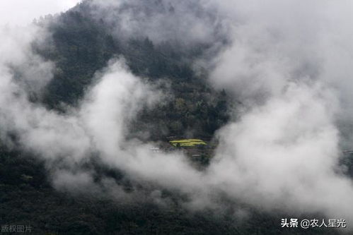 正月打雷下雪有什么说法？