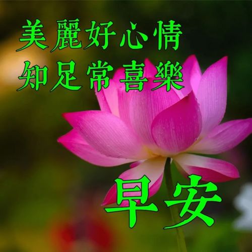 祝福亲人的短句暖心