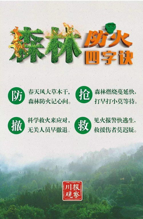 森林防火小短句