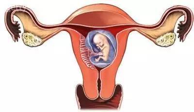 胎停育有什么症状或征兆吗