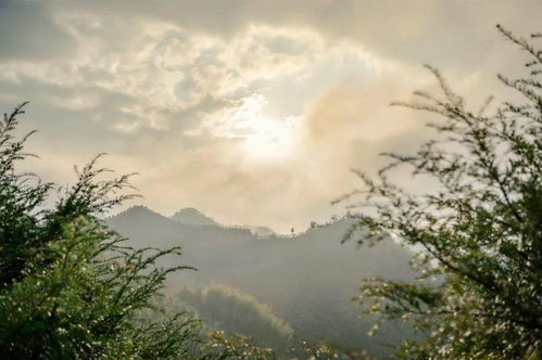 关于绿水青山就是金山银山的感悟