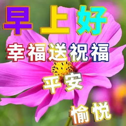 爱情祝福图片带字