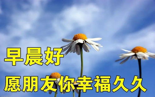 爱情祝福图片带字