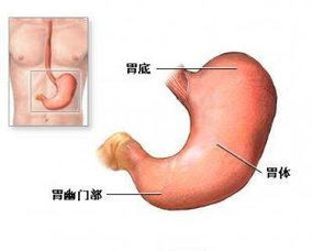 为什么我有卵黄囊还自然流产了?