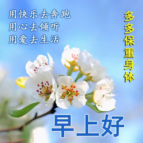 早安吉祥句子短句