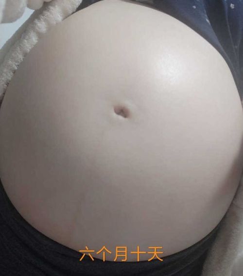 胚胎停育是什么原因