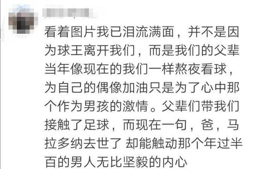 青春一去不复返的诗词