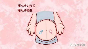 双胞胎如何科学喂养