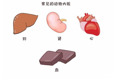 怀孕为什么要忌口,不忌口真的会导致胎儿畸形?