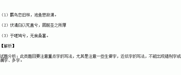 关于描写女人美丽的句子