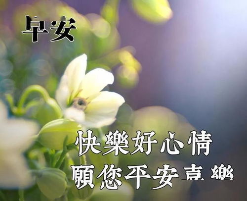 祝福朋友离别的诗句