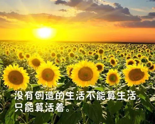 简短励志的句子经典语句