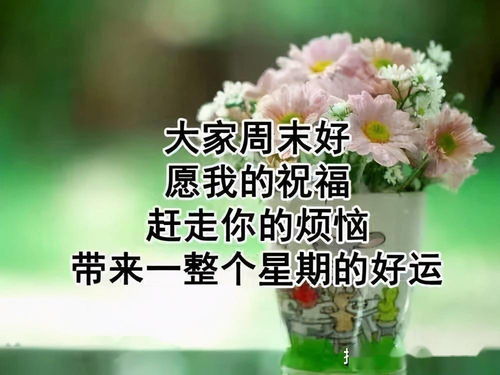 哥们情谊的句子经典(个性签名)