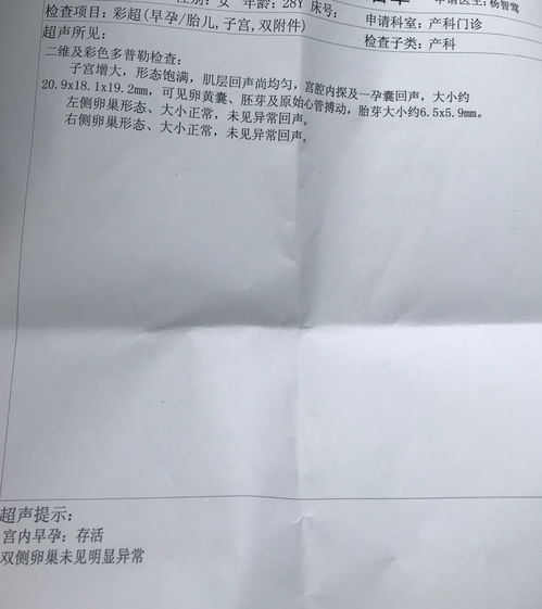 孕11周，可见卵黄囊,未见胚芽正常吗？