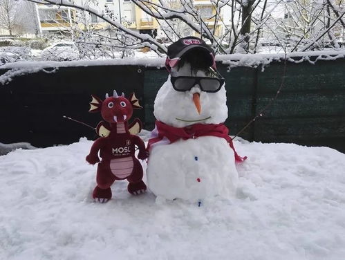 写家乡冬天的段落(不要写下雪堆雪人打雪仗的)