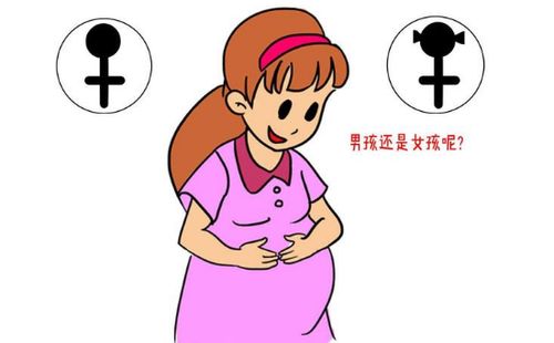 生育对女性职业生涯的影响