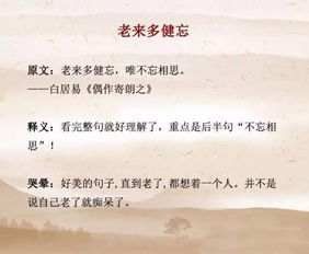 家乡的山水文案