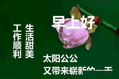 202年早安的祝福语