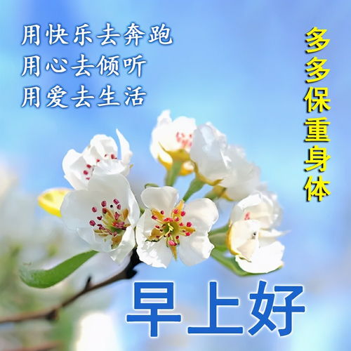 祝自己重生的句子,短句