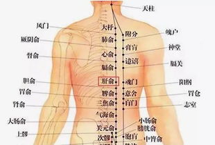 备孕艾灸哪个部位助孕图片