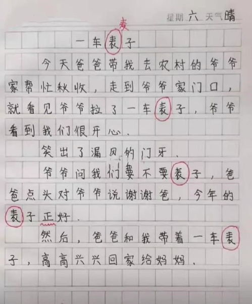 我发现了蚂蚁的秘密(400字)