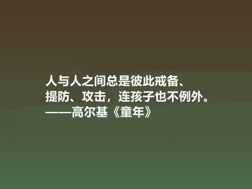 高尔基童年的经典句子